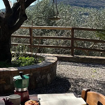 Bed & Breakfast Ristolab - Ritiro Mediterraneo Pollica